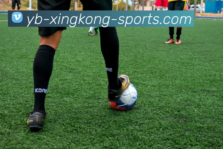 多媒体互动体验